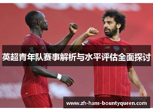 英超青年队赛事解析与水平评估全面探讨 英超青年队赛事解析与水平评估全面探讨