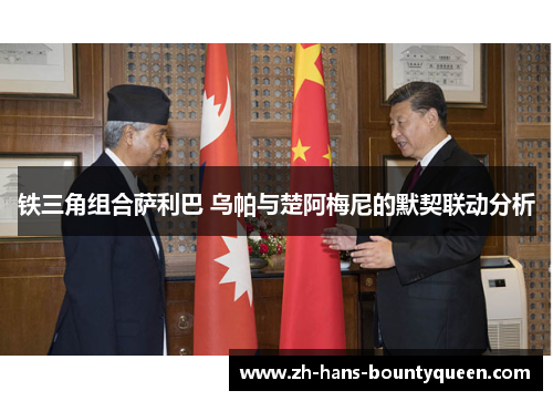 铁三角组合萨利巴 乌帕与楚阿梅尼的默契联动分析