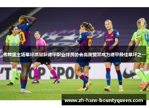 弗赖堡主场草坪质量获德甲职业球员协会高度赞誉成为德甲最佳草坪之一 弗赖堡主场草坪质量获德甲职业球员协会高度赞誉成为德甲最佳草坪之一